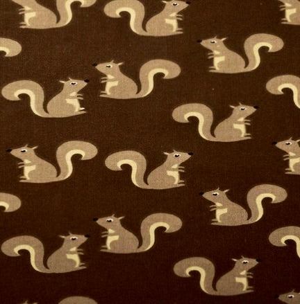Brown Squirrels