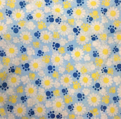 Flower Paw Print on Blue