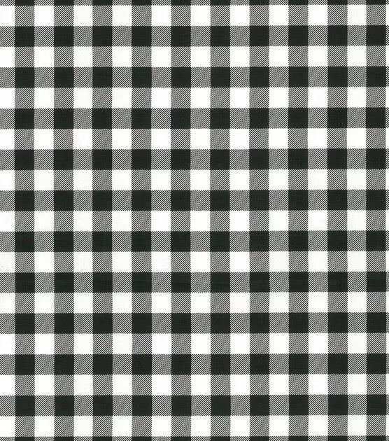 Black and White Buffalo Check